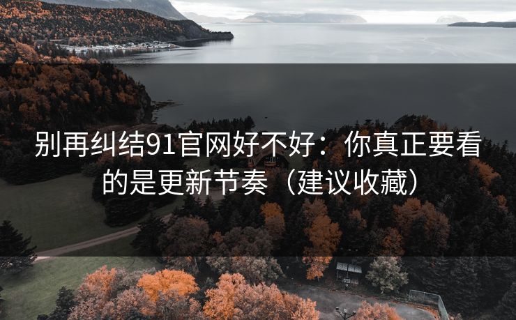 别再纠结91官网好不好：你真正要看的是更新节奏（建议收藏）