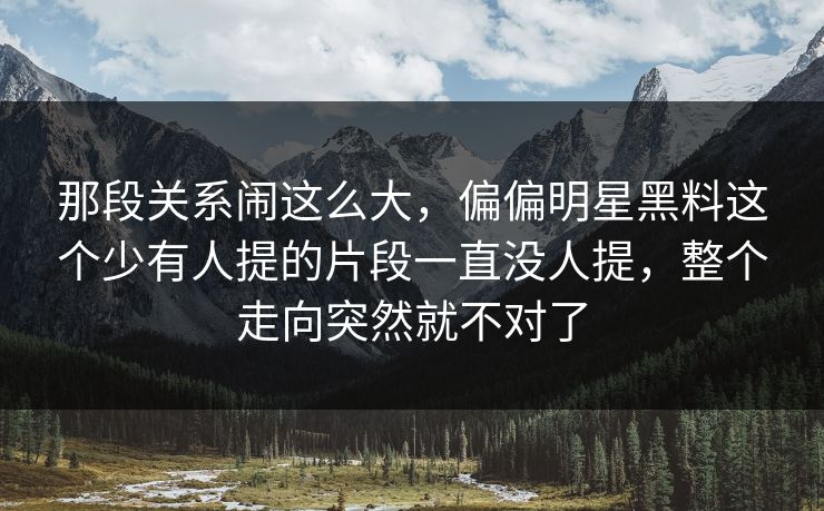 那段关系闹这么大，偏偏明星黑料这个少有人提的片段一直没人提，整个走向突然就不对了