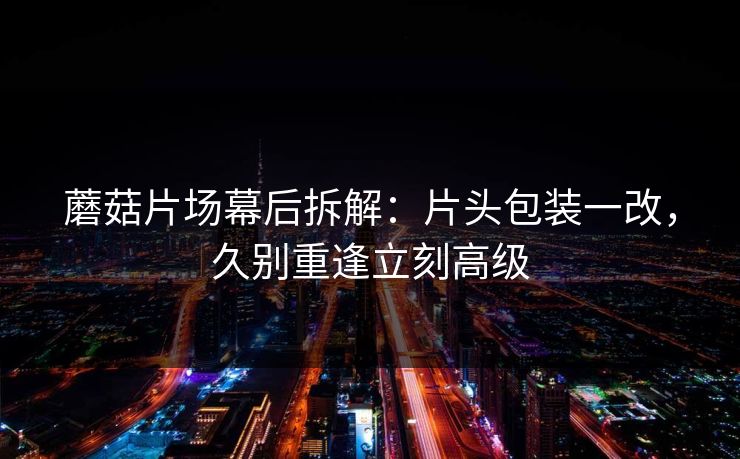 蘑菇片场幕后拆解:片头包装一改,久别重逢立刻高级 蘑菇片场幕后拆解:片头包装一改,久别重逢立刻高级