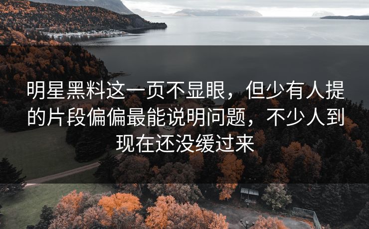 明星黑料这一页不显眼，但少有人提的片段偏偏最能说明问题，不少人到现在还没缓过来