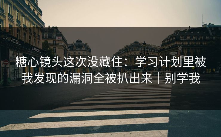 糖心镜头这次没藏住:学习计划里被我发现的漏洞全被扒出来|别学我 糖心镜头这次没藏住:学习计划里被我发现的漏洞全被扒出来|别学我